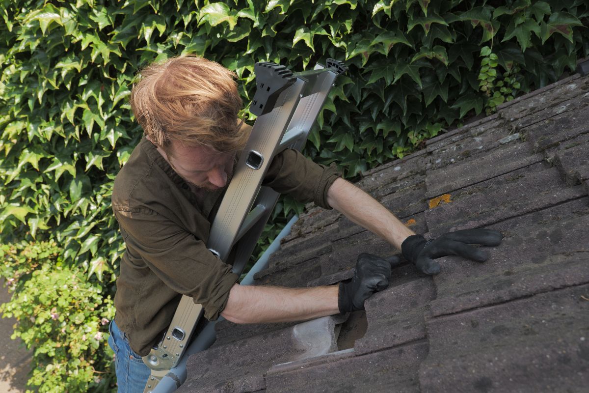 Klik om afbeelding te vergroten